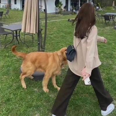 俗·再见,绝望先生
